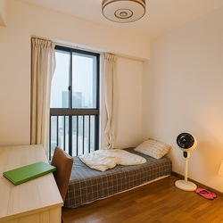 Blk 1E The Pinnacle@Duxton (Bukit Merah), HDB 4 Rooms #508573811